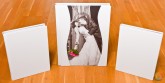 Paquetes Completos de Boda todos en Polipiel Blanca con Maletin